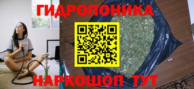 МДПВ Дубна