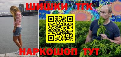 МДПВ Дубна